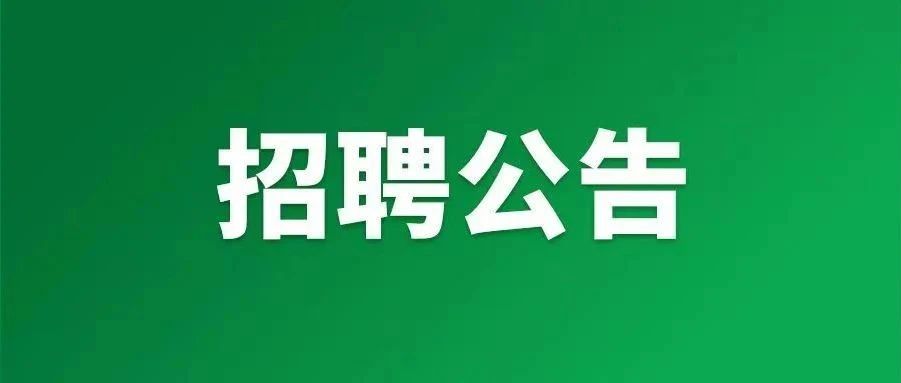 河北省新招242人！书记员！辅警！公益岗！多岗不限专业！
