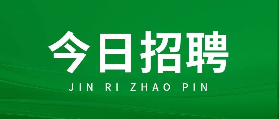 河北公开招聘247人！事业单位！辅警！公益岗！