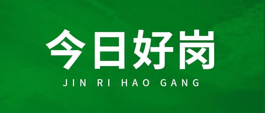 速看！河北&hellip;&hellip;工作人员！多岗不限专业！